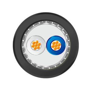 ZL5210001商品缩略图