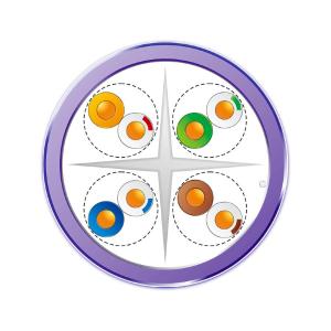 ZL2401125商品缩略图