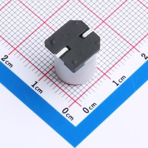 SS222M6R3G12R7R1Z00ZZ商品缩略图