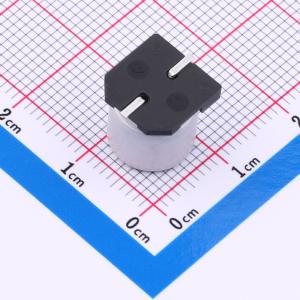 RVT1J101M1010ZY商品缩略图