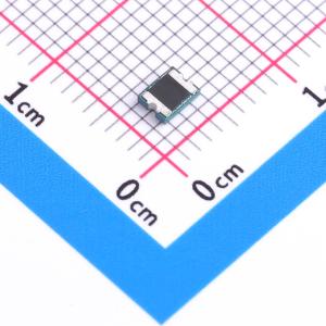 BSMD1210L-300-12V商品缩略图