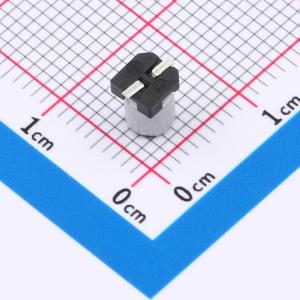 RVE1C100M0405ZY商品缩略图