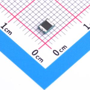 BSMD1210L-300-12V商品缩略图