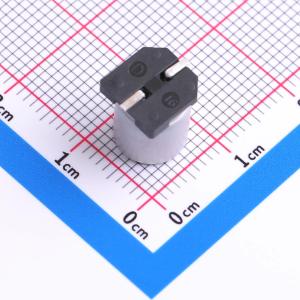 RVT10V470M8X10商品缩略图