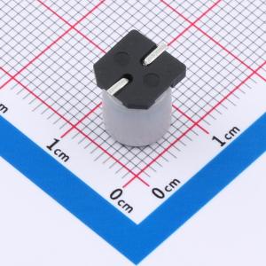 RVT1J330M0810商品缩略图