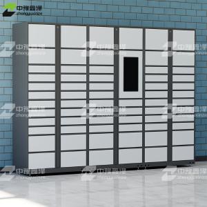 ZYXZ4103029商品缩略图