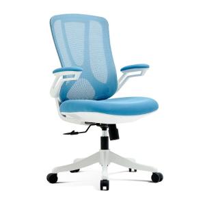 ZYXZ-BGY-84商品缩略图