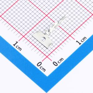 51006-RT商品缩略图