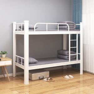 ZYXZ4032611商品缩略图