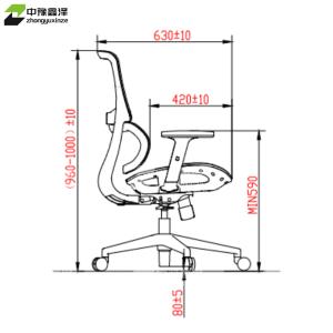 ZYXZ4110951商品缩略图