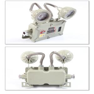 CROWN EXTRA(冠奕达)防爆应急灯双头LED疏散通道照明灯(BCJ系列)BCJ-2*4.5W 220V