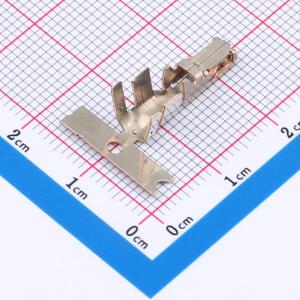 DF22A-1012SCFA商品缩略图