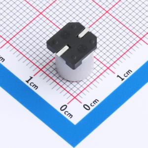 SS681M6R3F9R4R1Z00ZZ商品缩略图