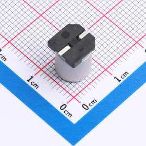 RZH1V101M0810商品缩略图