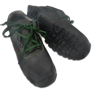 S5005商品缩略图