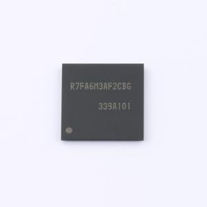 R7FA6M3AF2CBG#AC0商品缩略图