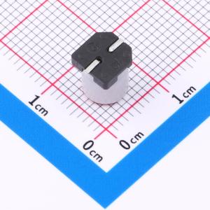 CT1C221M0607商品缩略图