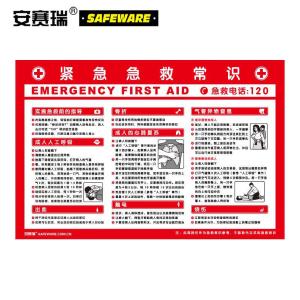 安赛瑞 安全教育挂图 紧急急救常识 工厂仓库生产宣传图 塑料板材 宽500mm长750mm 30401