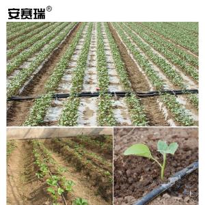 27376商品缩略图