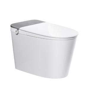 ZS700P-305商品缩略图