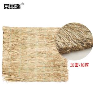 310817商品缩略图