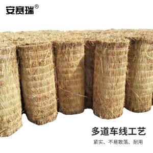 310815商品缩略图