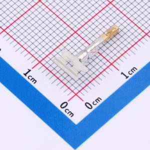 CC79R-2024-01-L商品缩略图