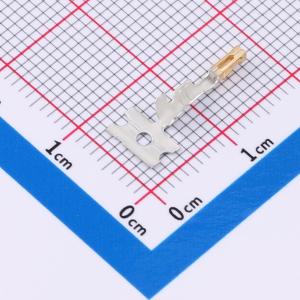 CC79R-2024-01-L商品缩略图