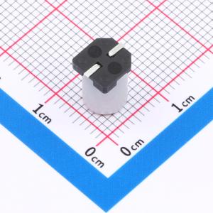 SV221M250E9R2R1Z00ZZ商品缩略图