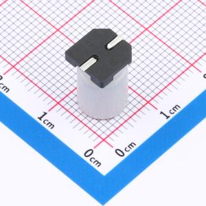 SPT1VM221F12TRVZC商品缩略图