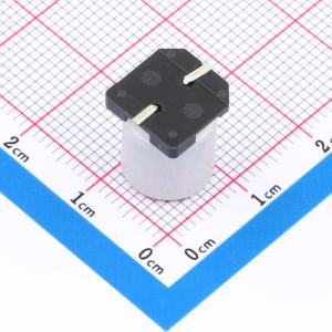 SPT1VM331G12TRVZC商品缩略图