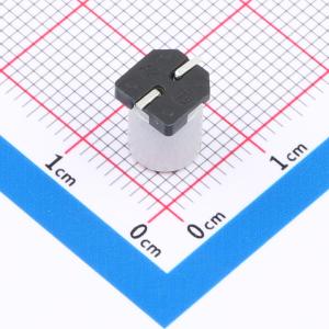 SPT0JM331E08TRVZC商品缩略图