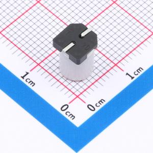 SPT1EM221E08TRVZC商品缩略图