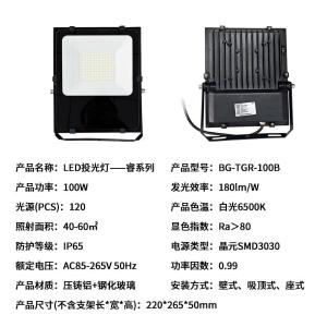 BG-TGR-100B商品缩略图