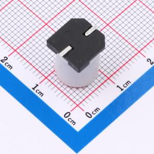 SV221M500G12R7R1Z00ZZ商品缩略图