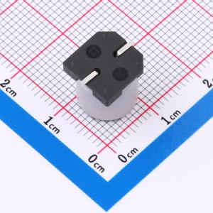 EFVG100ADA470M10B0商品缩略图