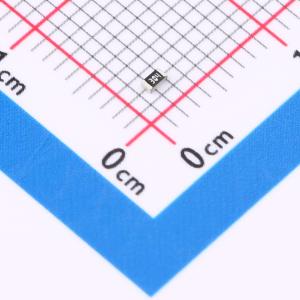 厚膜电阻 300kΩ ±5% 100mW
