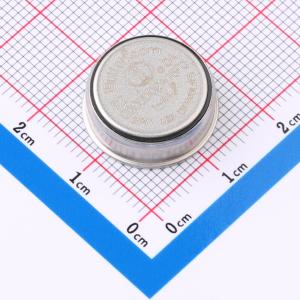 iButton 16K位存储器