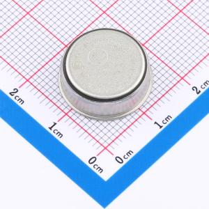 iButton 1K位/4K位存储器