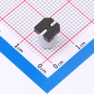 HV2A106M0607PZ商品缩略图
