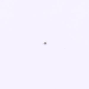 0201CG100G500NT商品缩略图