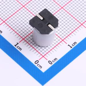 RV100V47M8X10商品缩略图