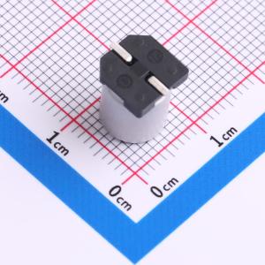 RV50V100M8X10商品缩略图