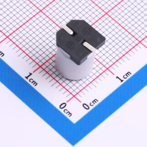 RST16V470M8X10商品缩略图