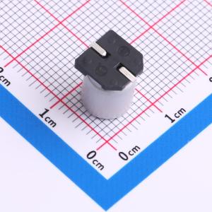 RVE16V470M8X10商品缩略图