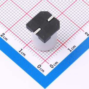 SS222M160G12R7R1Z00ZZ商品缩略图