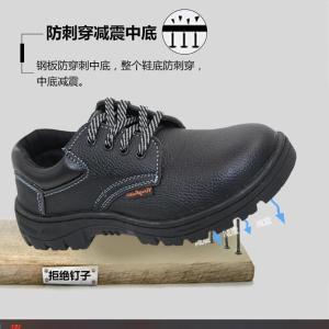 G101(46)商品缩略图