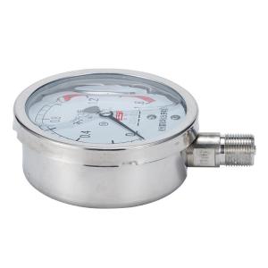 YN-100BF-0-25mpa商品缩略图