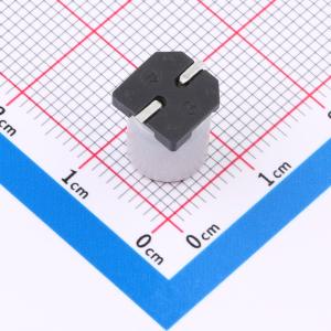 CT1V221M0810商品缩略图
