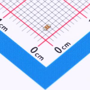 SF-0603FP025F-2商品缩略图